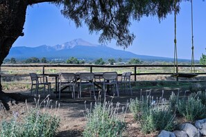 Outdoor dining - Beautiful ranch in the foothills of La Malinche (San Miguel Báez)