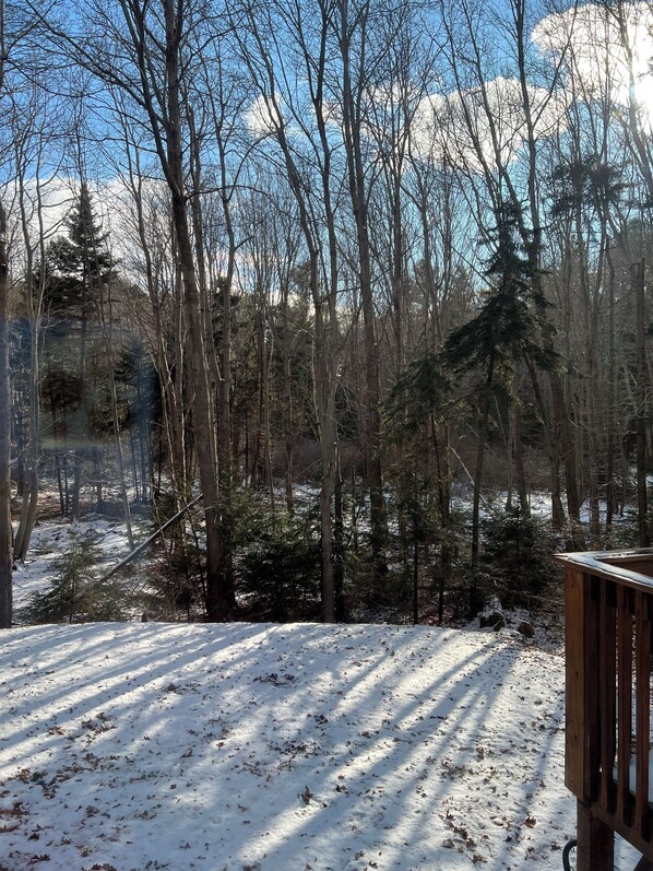 Property grounds - Yearround Cottage on Peaks Island (Portland)