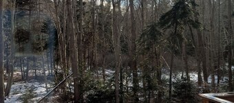Yearround Cottage on Peaks Island