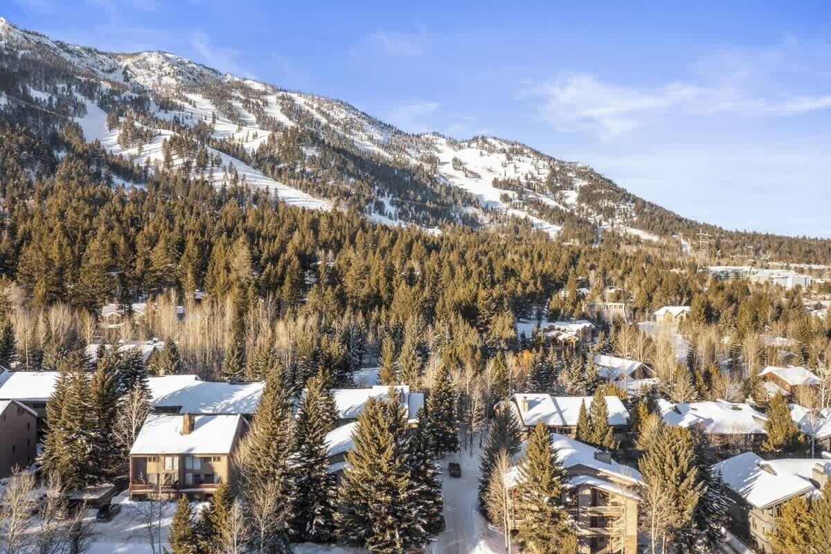 A residential area with houses surrounded by snow-covered trees and mountains in the background.