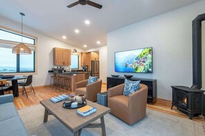 Smart TV, fireplace, books, offices