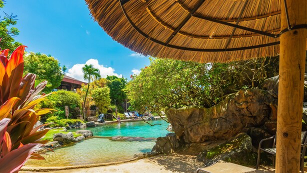 Un espace piscine de style tropical, avec des chaises longues, un parasol en feuilles de palmier et une végétation luxuriante.