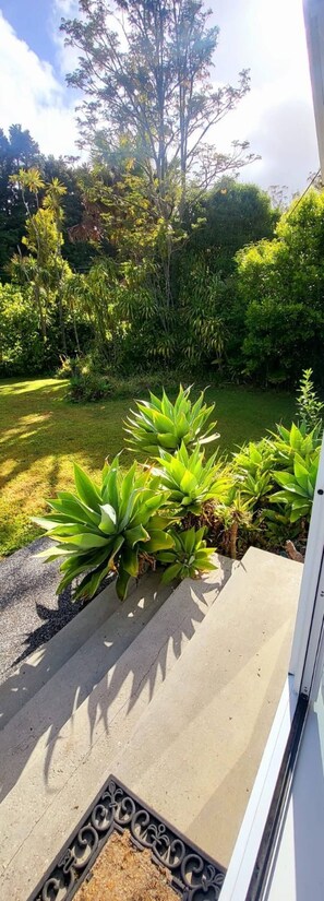 Property grounds - Old-World Charm Hibernarium (Ngararatunua)