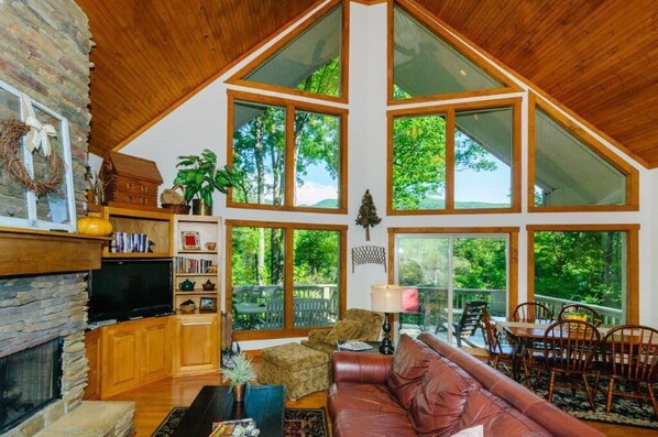 Een televisie, een open haard, een tafeltennistafel en boeken