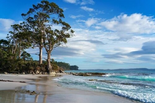 Francis Lane Tiny Studio