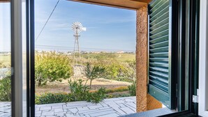 Vista desde una ventana con un molino de viento al fondo, un patio empedrado y una zona verde con plantas.