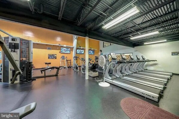 A gym with treadmills, stationary bikes, and weight machines.
