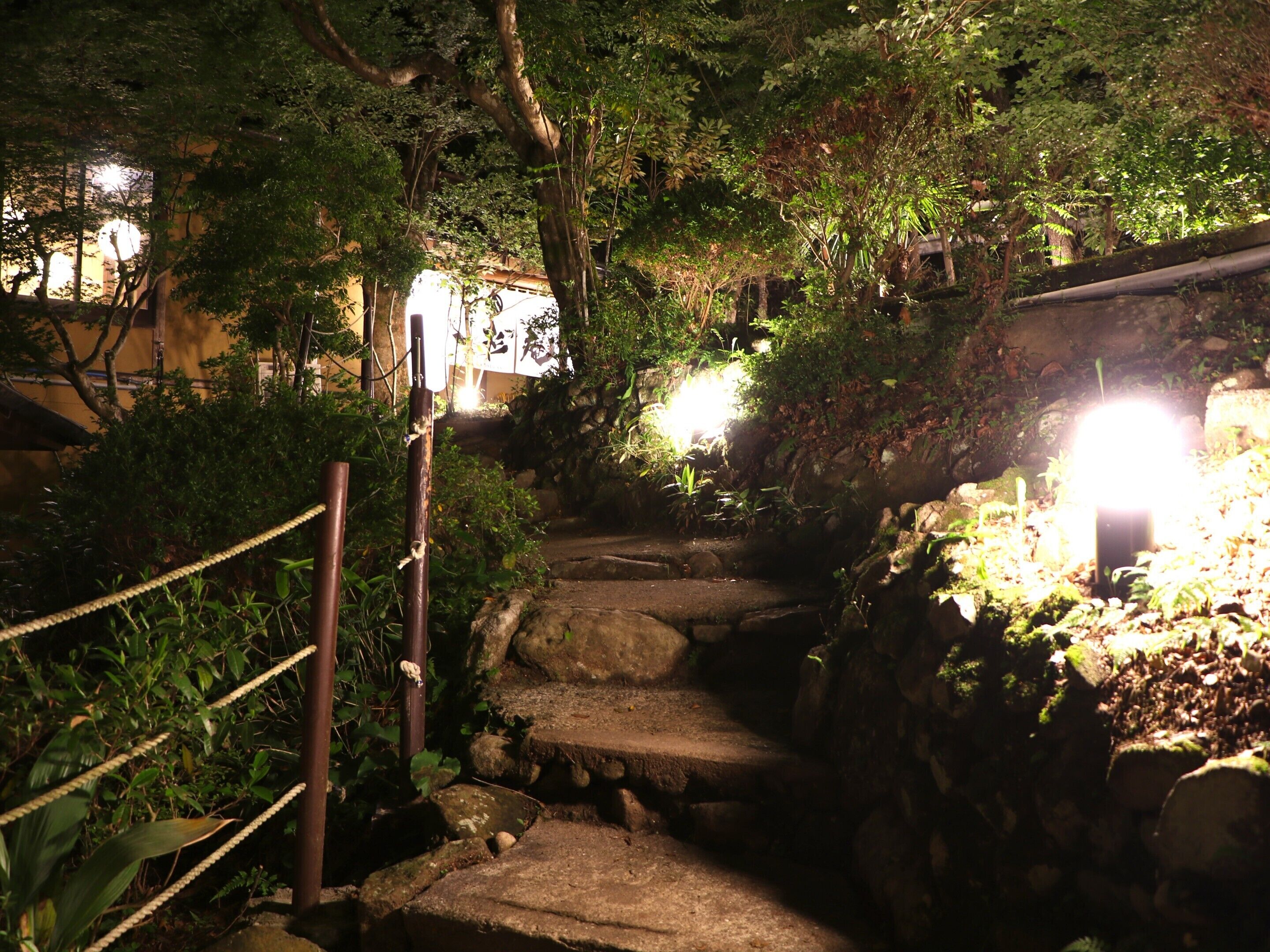A stone staircase surrounded by lush greenery and illuminated by soft lighting.