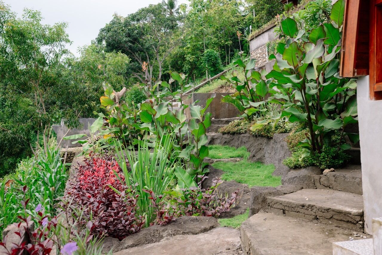 Un jardín con diversas plantas y una escalera de piedra que sube hacia un edificio.