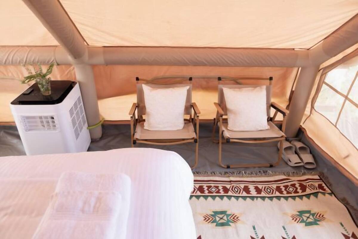 واي فاي مجانًا