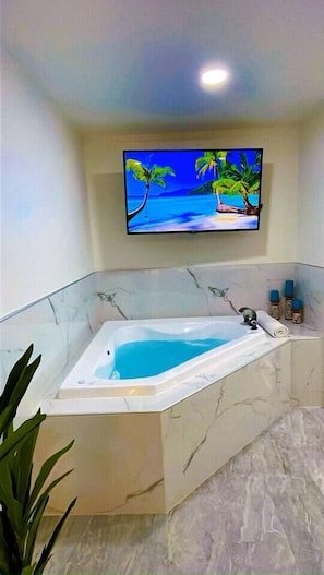 Interior - Luxury Studio w/Jacuzzi near IAH (Houston)