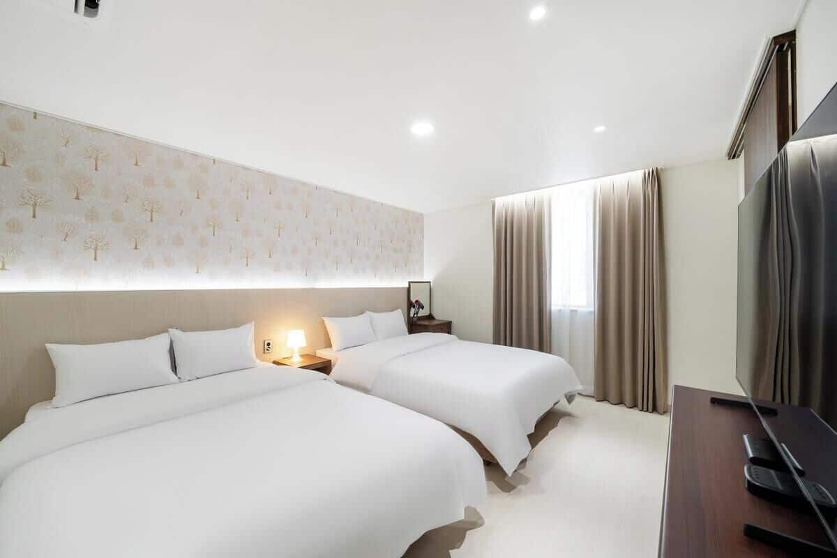 Deluxe Twin Room | Wi-Fi gratuit, draps fournis