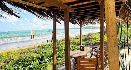 Beach Backyard
