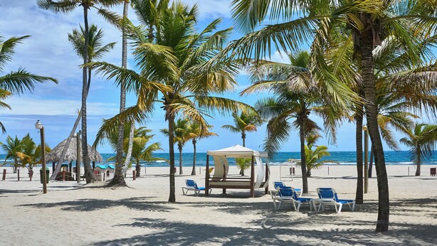 Privat strand, hvit sand, solsenger og parasoller