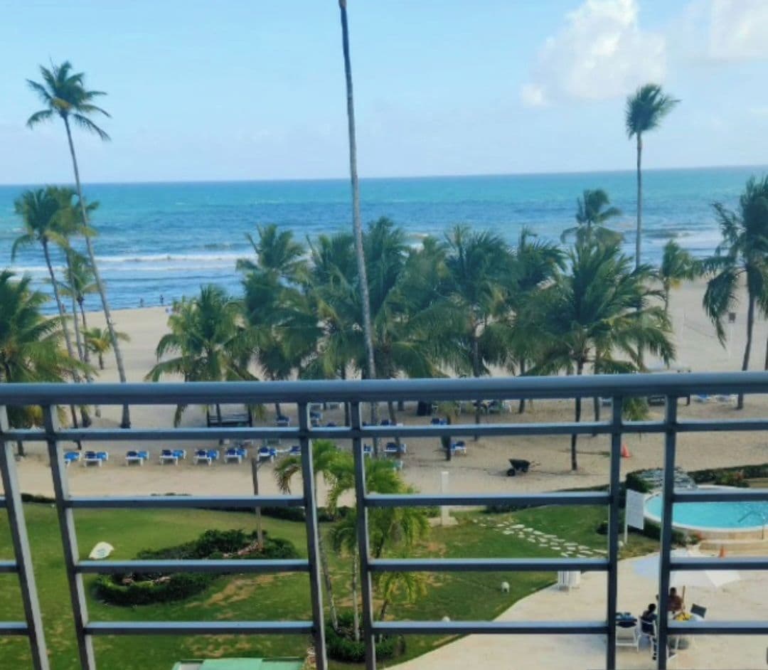 A view of a beach with palm trees, a pool, and lounge chairs.