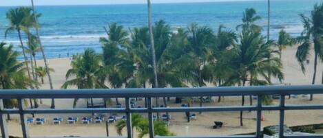A view of a beach with palm trees, a pool, and lounge chairs.