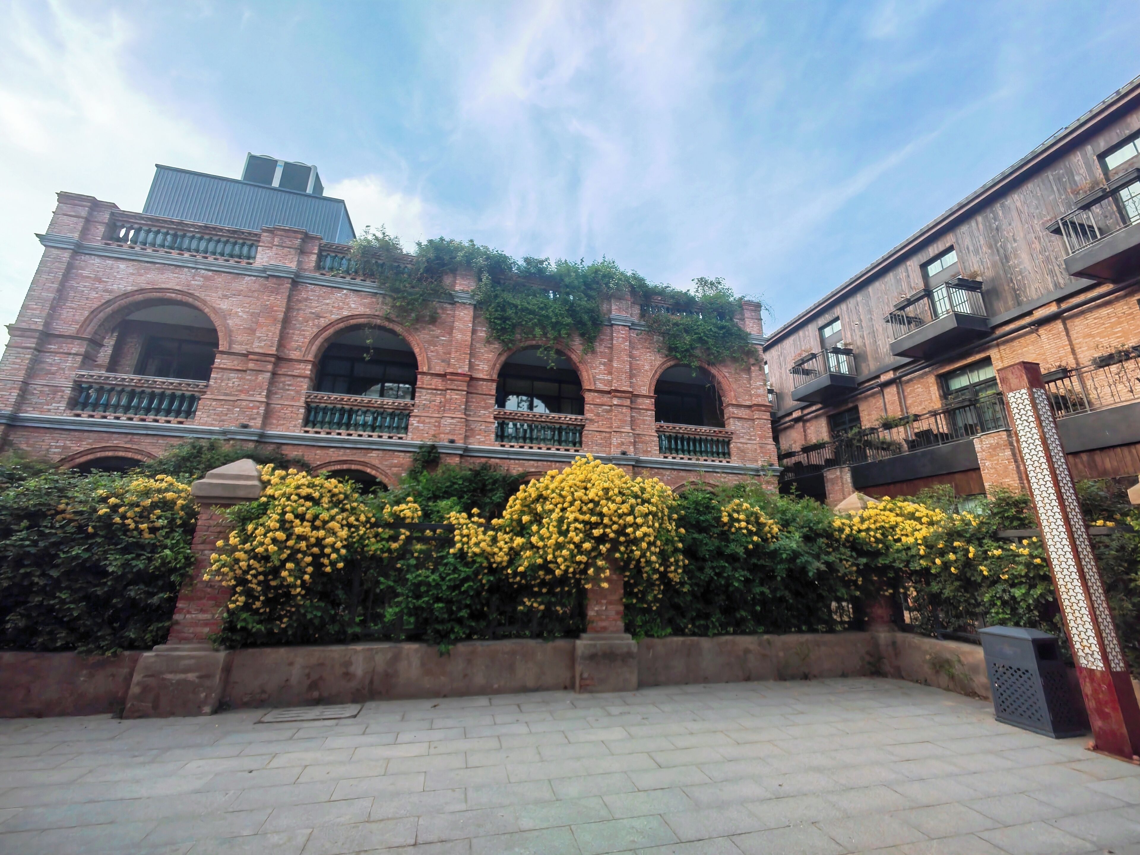 Un patio con un edificio de ladrillo que presenta ventanas y balcones arqueados, rodeado de plantas florecientes amarillas.