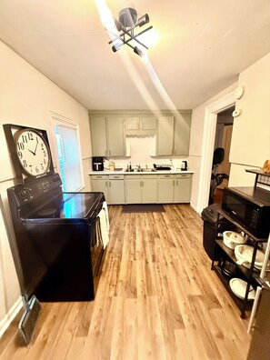 Fridge, microwave, oven, stovetop - Luxe 2-bedroom apartment near university of Rochester and hospitals.pets allowed (Rochester)