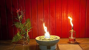 A tiled floor with a stone fire pit in the center, flanked by a potted plant and a bottle of alcohol.