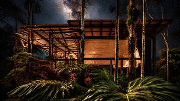 A wooden structure with a covered patio, surrounded by tropical vegetation.