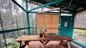 A rustic wooden table with a potted plant in a greenhouse with green framing and a view of a forested area.