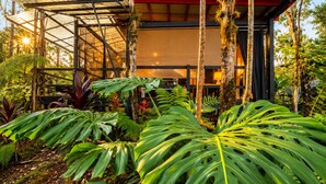 A modern building with a glass facade, surrounded by lush tropical vegetation.