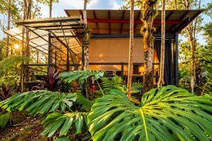 A modern building with a glass facade, surrounded by lush tropical vegetation.