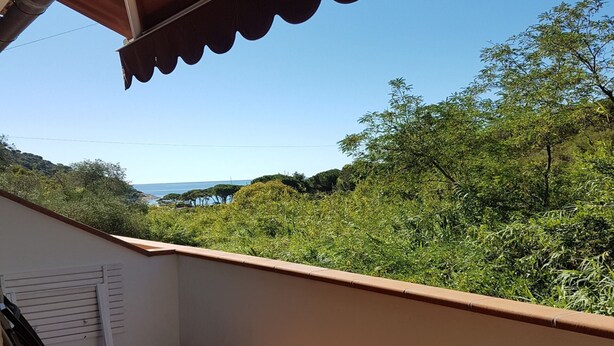 Ein Balkon mit Blick auf eine üppige grüne Landschaft und ein weiter See.