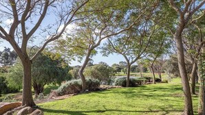 A well-maintained grassy area with mature trees and a clear sky.