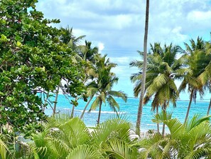 Una playa tropical con palmeras y vista al océano.