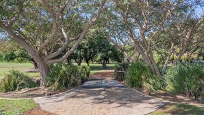 Un chemin pavé dans un parc, bordé de chaque côté d’arbres et d’arbustes.