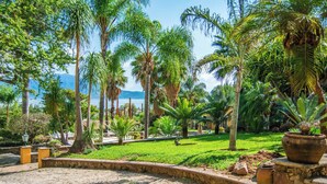 Jardí tropical amb palmeres, un camí de pedra i vista al mar.