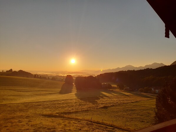 Vista dalla struttura