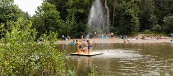 Forestside Retreat in Turnhout