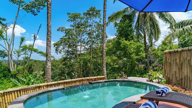 A swimming pool with lounge chairs and a bamboo fence. - Villa Kuma Ubud (Tegallalang)