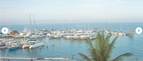 مارينا