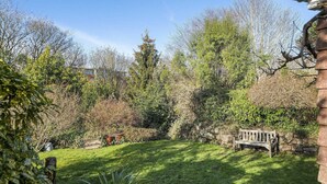 Ein Garten mit einer Holzbank, verschiedenen Sträuchern und Bäumen.