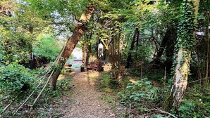 Un sentier forestier mène à un banc en bois rustique et à une lanterne suspendue, le tout étant entouré d’une végétation luxuriante et d’arbres.