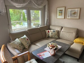 TV connectée, cheminée, table de tennis de table, livres