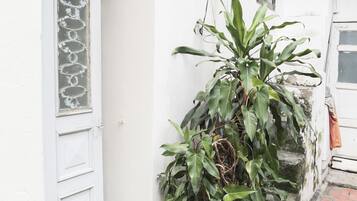 DĂ©tail de lâextĂ©rieur