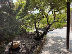 Property grounds - Serene Studio Retreat in Cygnet with Private Entrance (Cygnet)