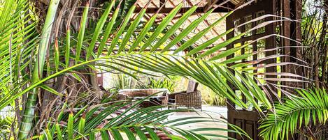 A tropical garden with a thatched-roof structure, a paved pathway, and lush green foliage.