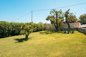 Property grounds - Pet-Friendly Holidays in Puglia (Ostuni)