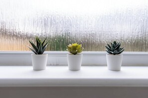 Drie planten in potten op een vensterbank.