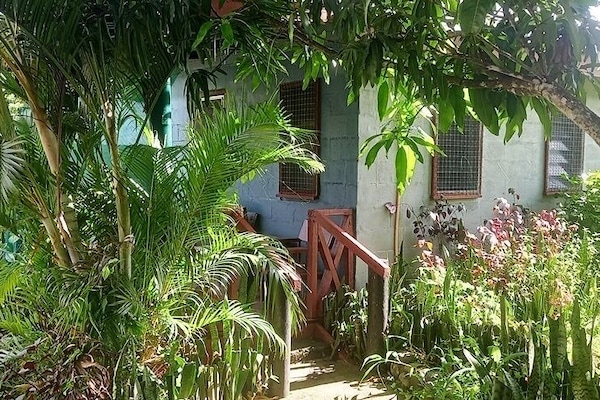 Comfort Quadruple Room, Garden View | Garden view