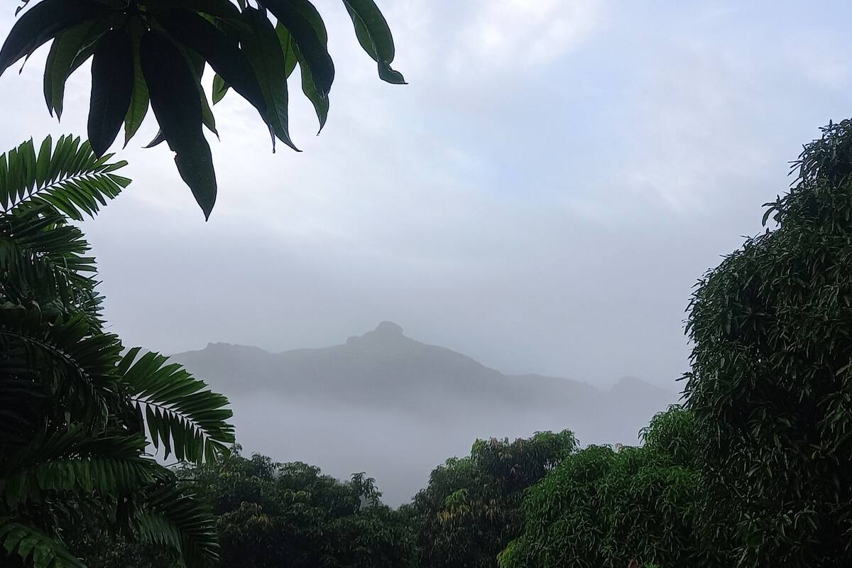 舒適三人房, 山景 | 山景