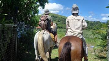 Dos personas montando a caballo por una puerta rodeada de follaje y colinas.