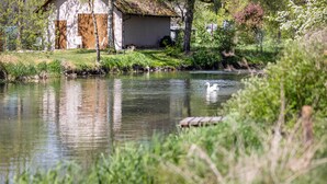 Ein ruhiger Fluss mit einem Schwan, umgeben von Grün und einem Gebäude mit einem Strohdach.