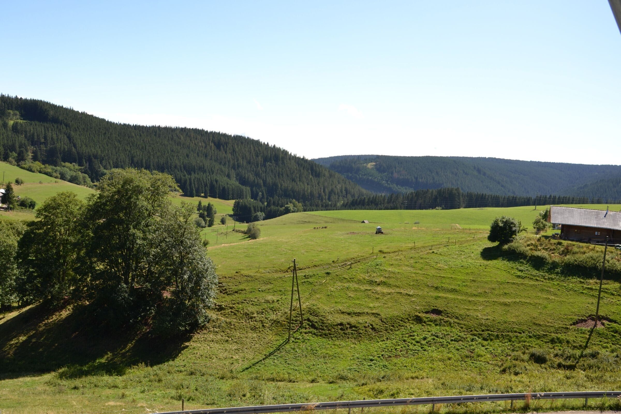 A rural landscape with a green field, a tree, and a small building.
