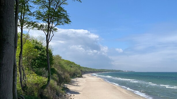 Ein Strand mit einem Feldweg, Bäumen und Blick aufs Meer.